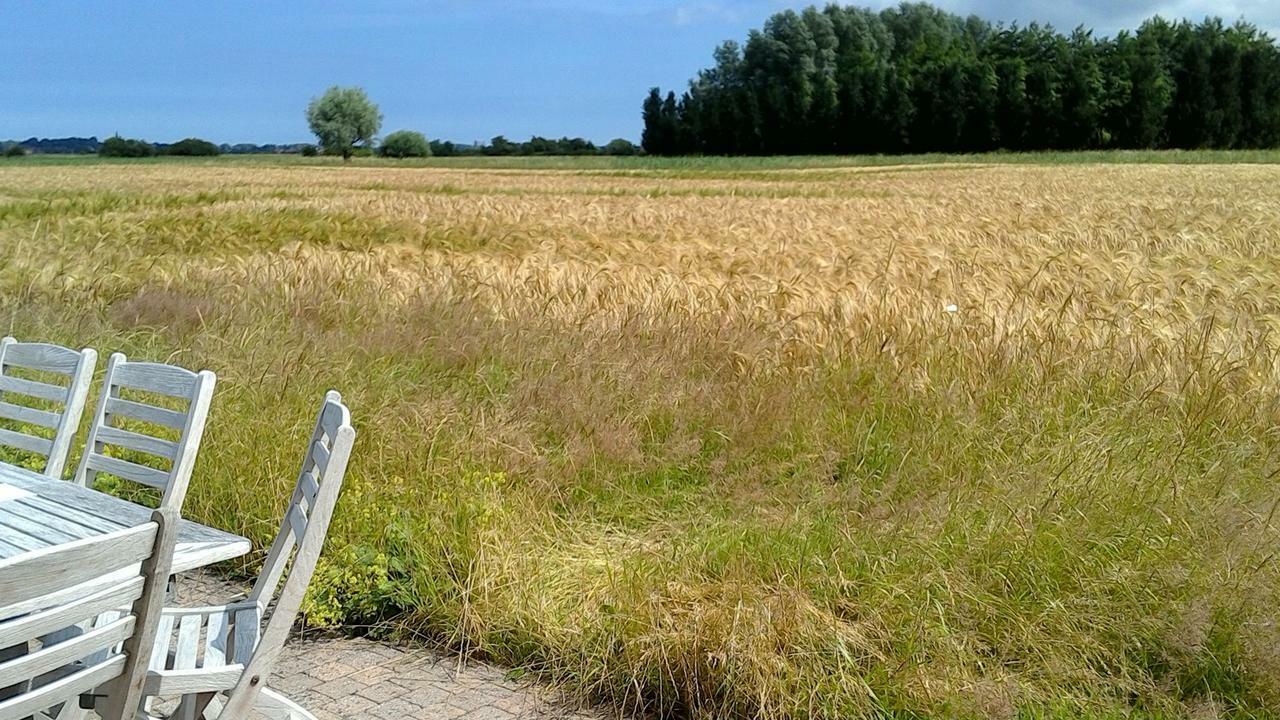 Bed and Breakfast Ateljee Devlaux Veurne Zewnętrze zdjęcie